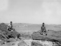 Roderick Petrified Forest 1